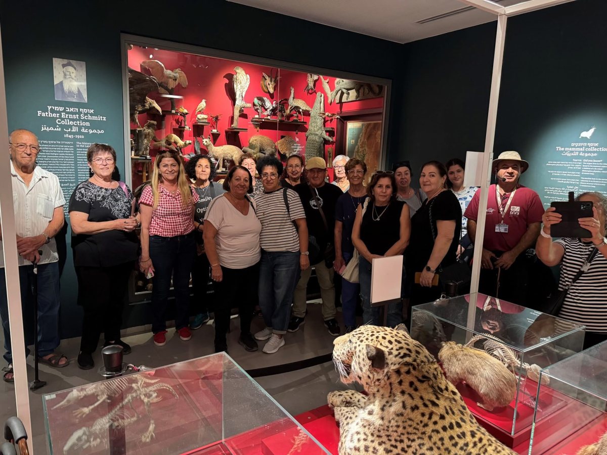 מכללת הגמלאים 