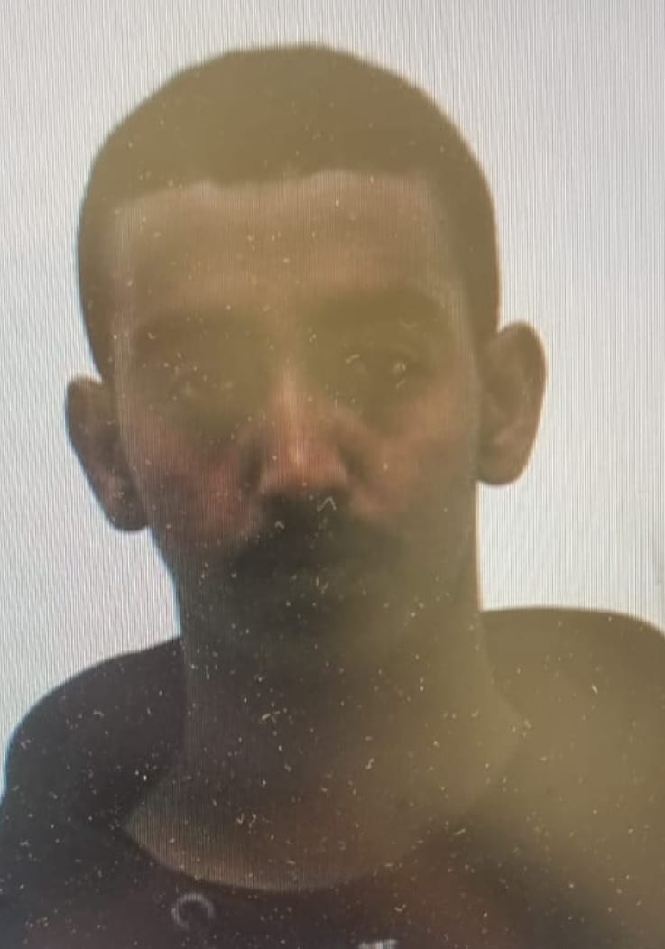 דוברות משטרה