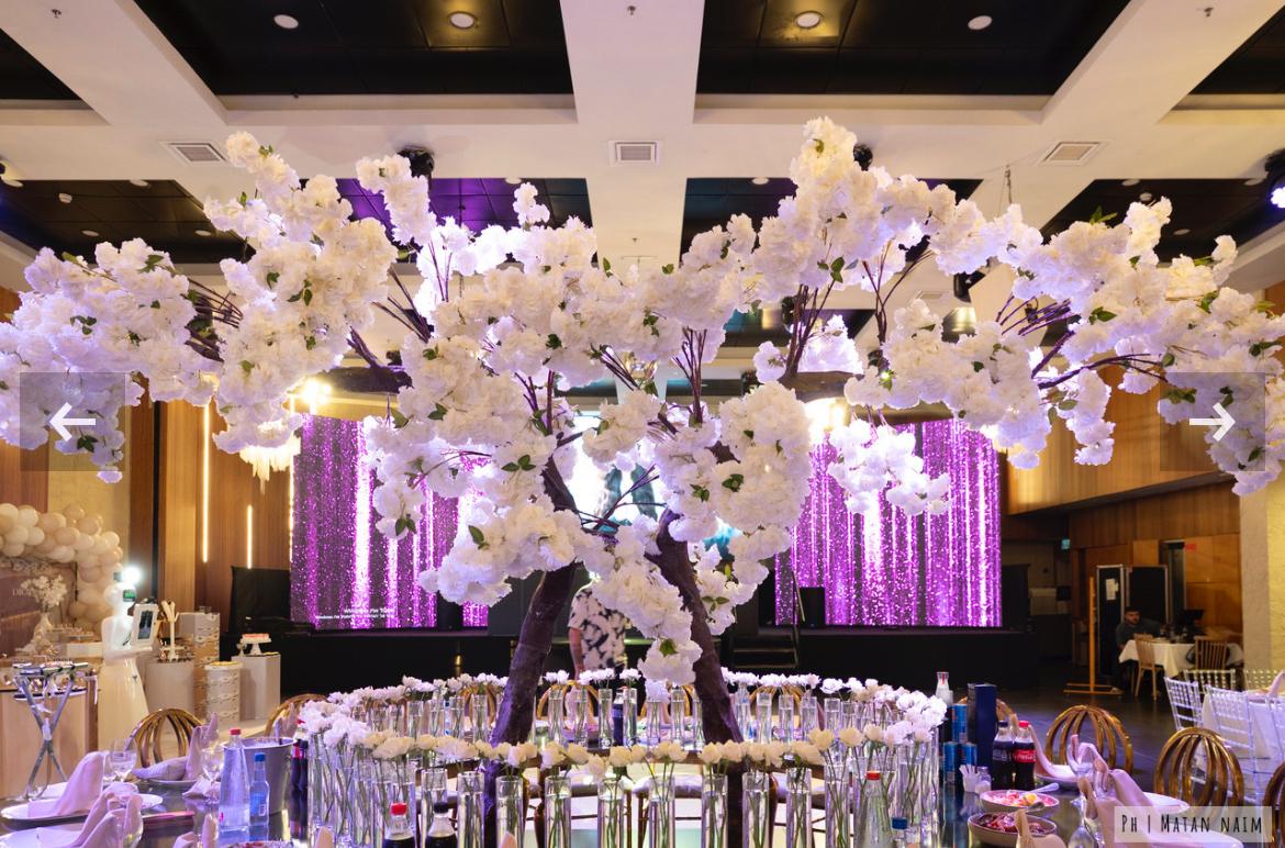 אולם אירועים לאונרדו אשדוד צילום מתן נעים