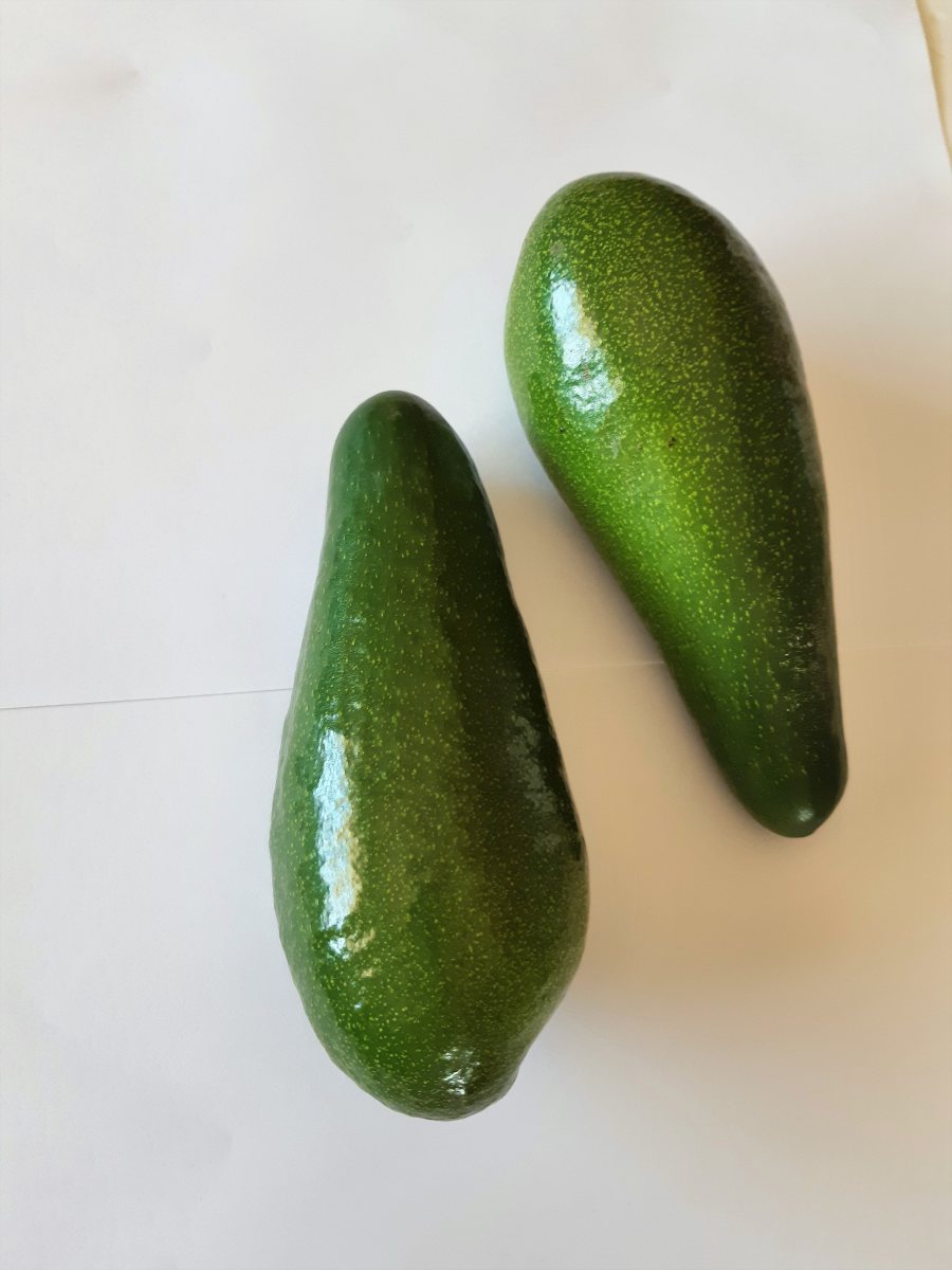 אבוקדו גליל. מועצת הצמחים