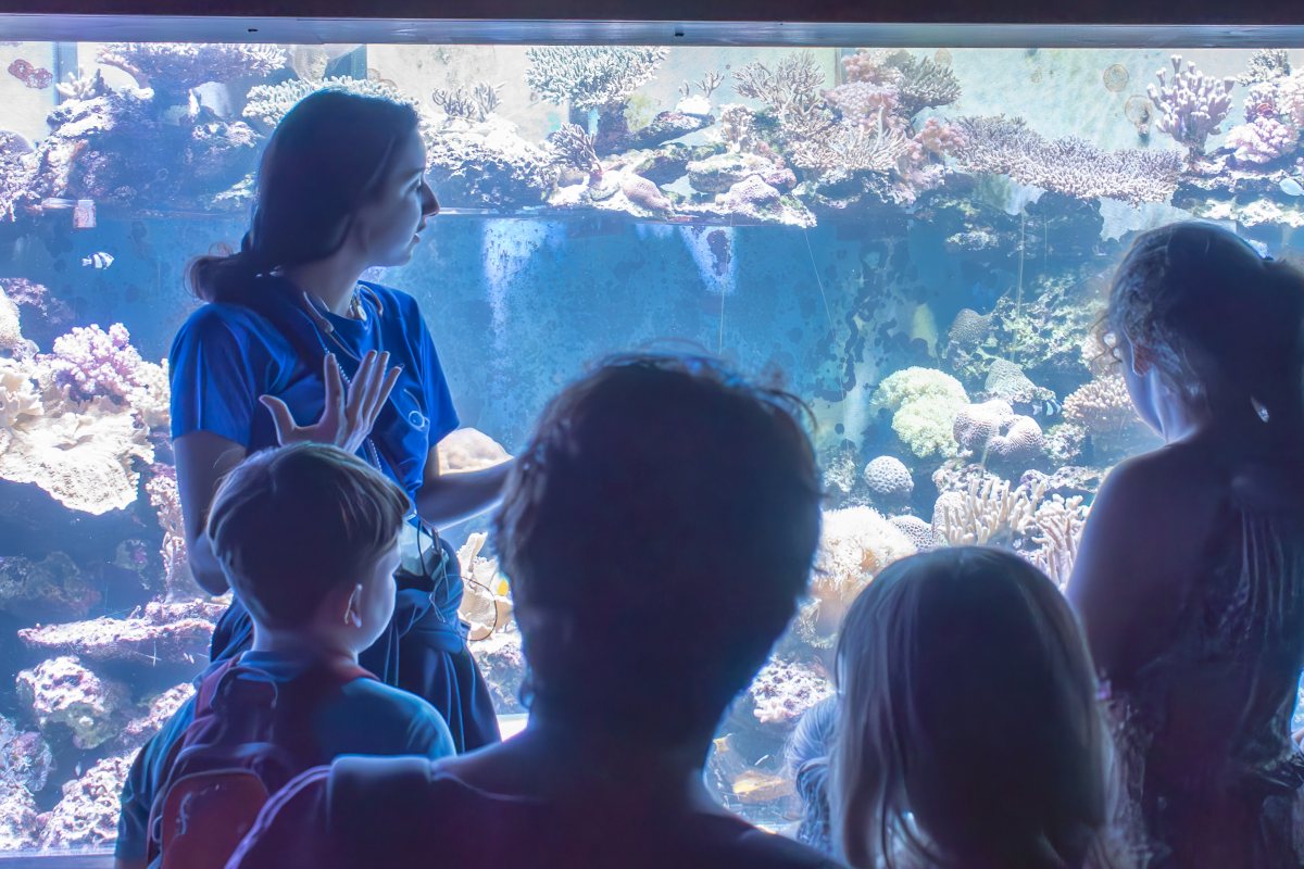 סיור מאחורי הקלעים באקווריום צילום שמשון ביריג