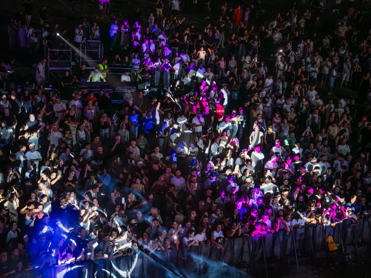 אלה מאירוביץ