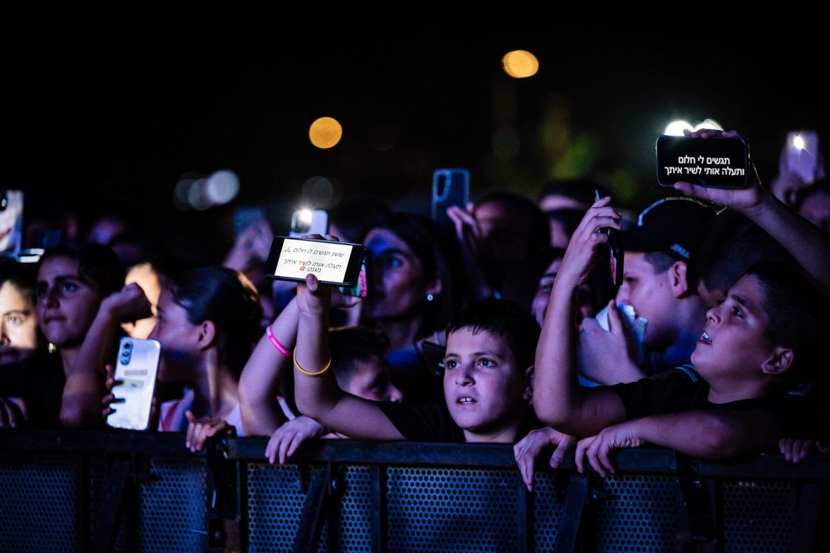 אלה מאירוביץ