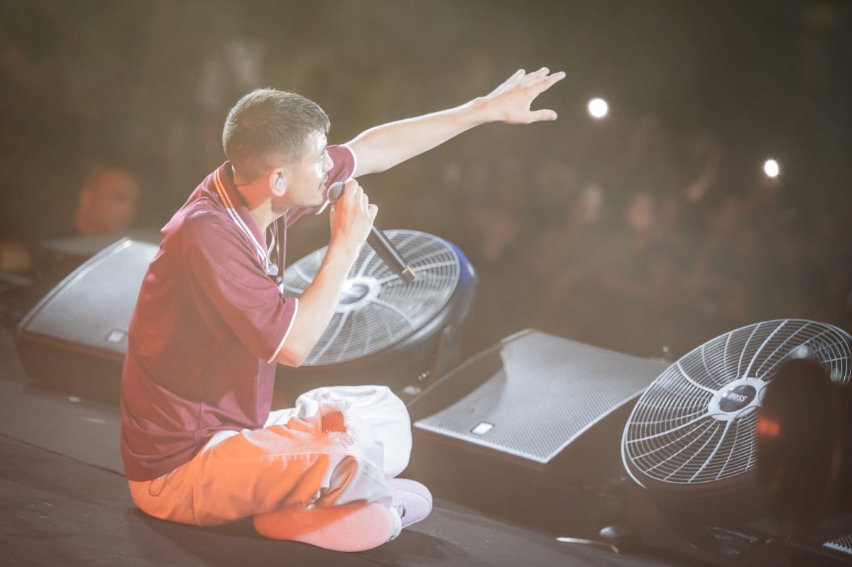 אלה מאירוביץ