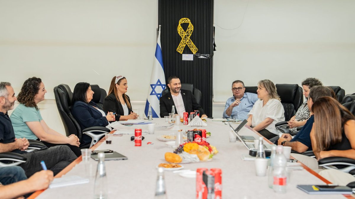 אלה מאירוביץ