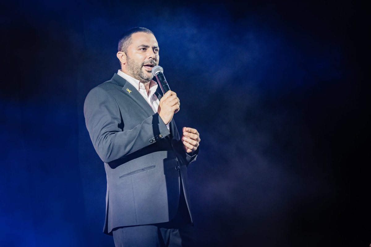 אלה מאירוביץ