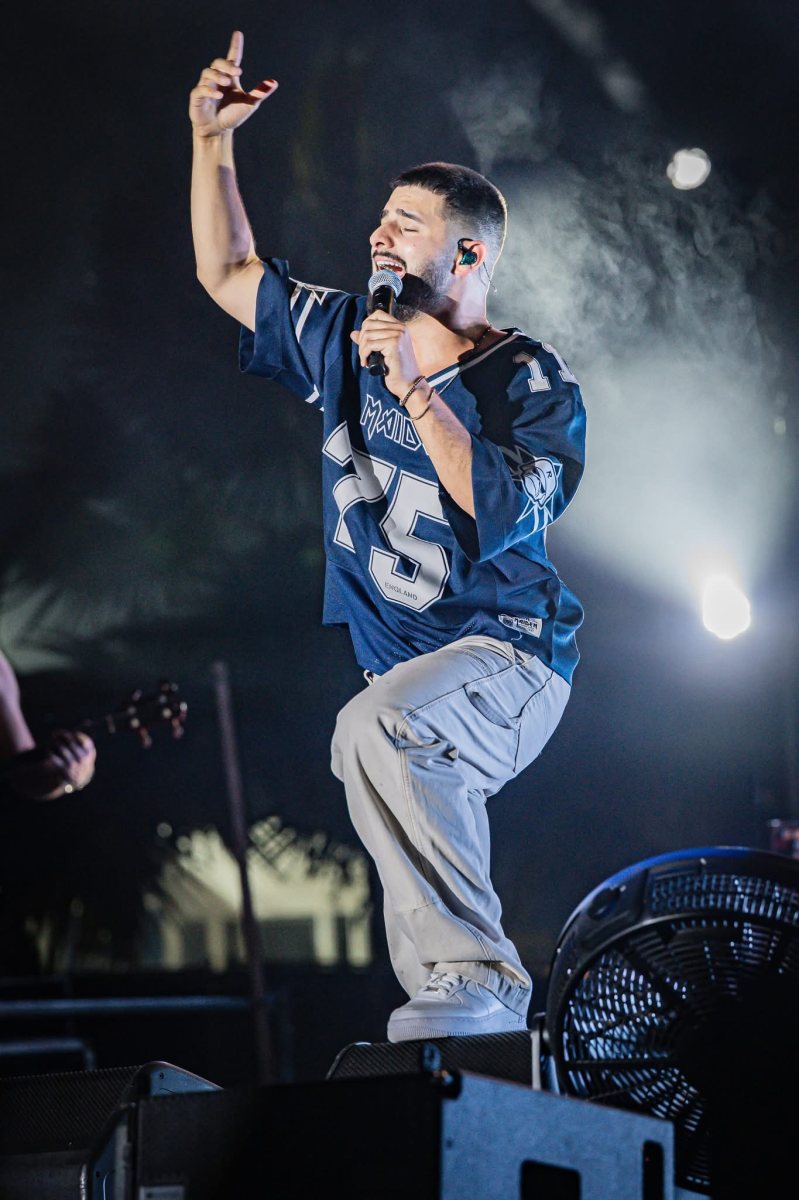 אלה מאירוביץ