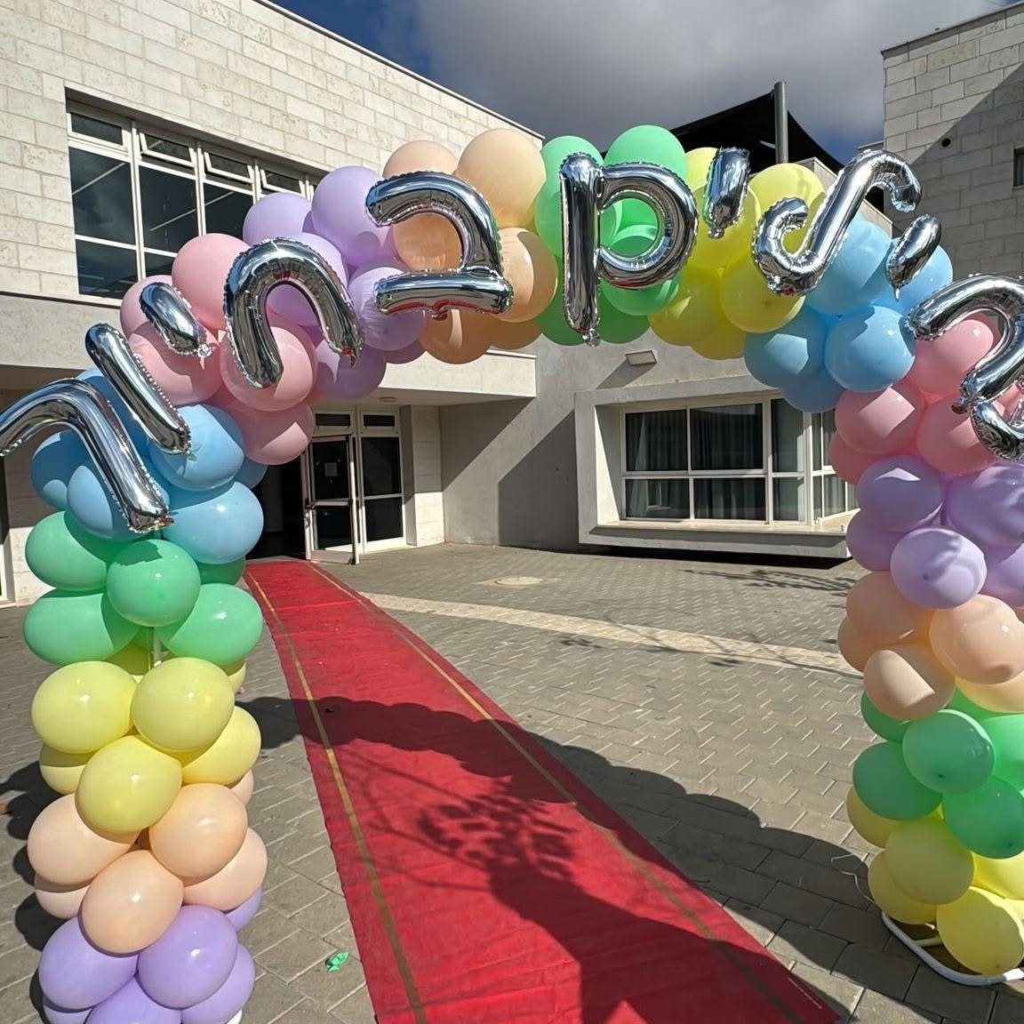 אלה מאירוביץ