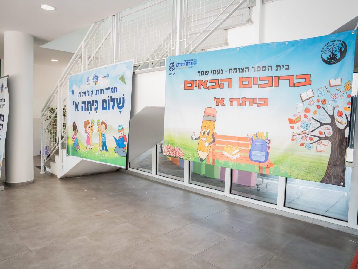 אלה מאירוביץ