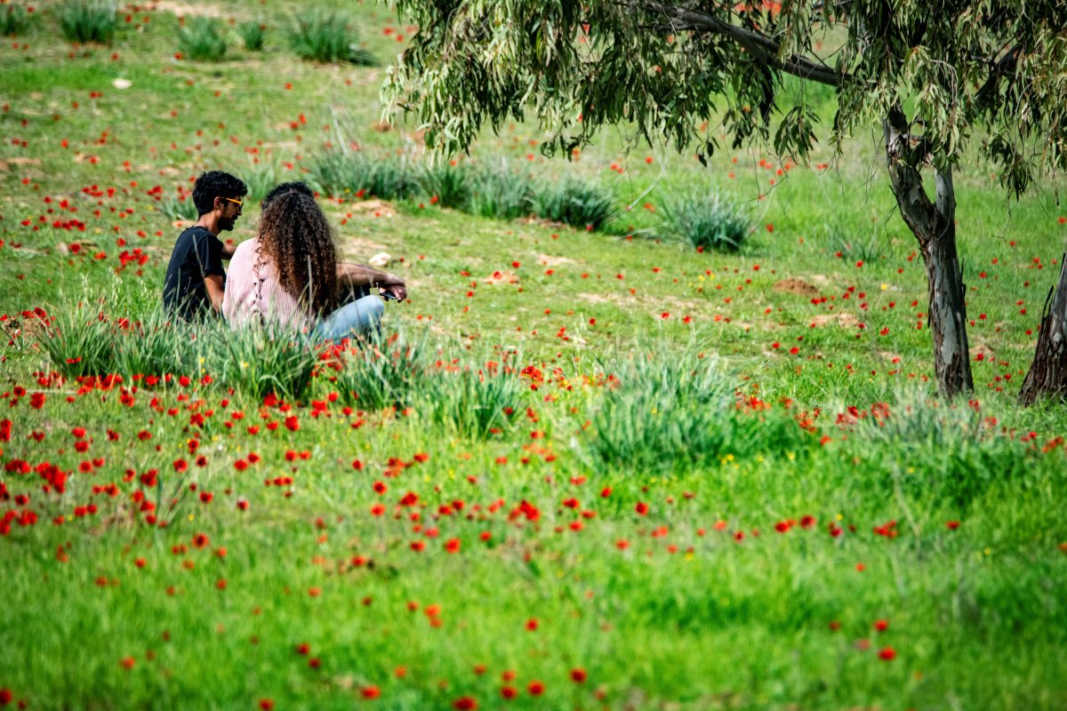דרום אדום  צילום אייל בריברם