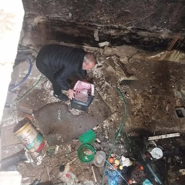 עיריית קריית גת