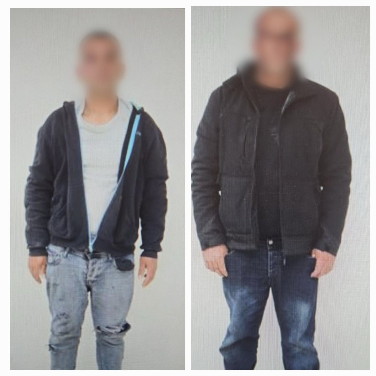 דוברת משטרה