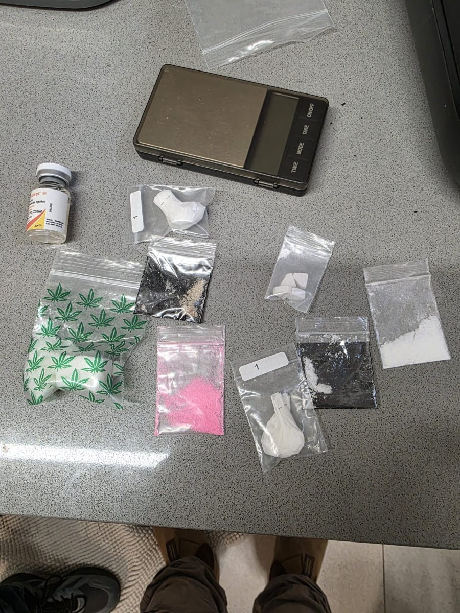 דוברות משטרה