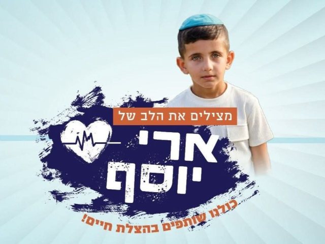 ארי יוסף