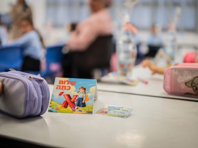 אלה מאירוביץ