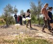 חוגגים ט"ו בשבט בירושלים והסביבה
