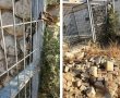 "עמדנו בחוץ בזמן האזעקה": מדוע תושבי השכונות הישנות נותרו מחוץ למקלטים?