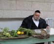 תנצב"ה: "עֲצֵי עִשְׂבֵי" הלך לעולמו