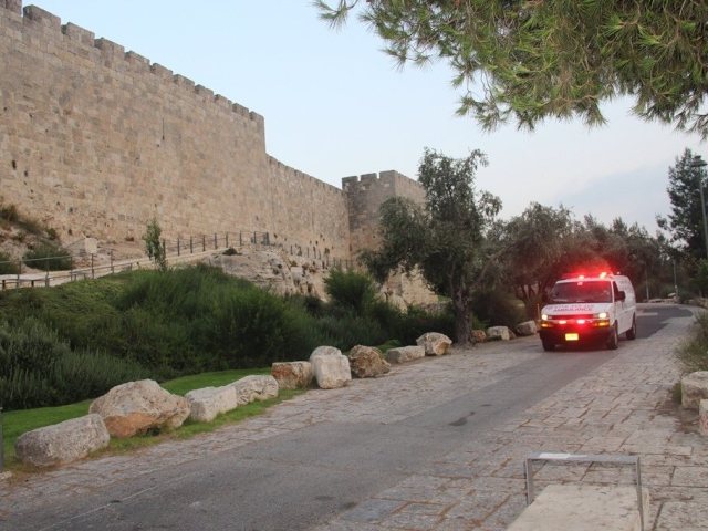 צילום: דוברות מד"א