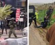 פאודה היא לא רק סדרה, היא סימפטום: כשהמדינה נסוגה, האנרכיה לובשת מדים