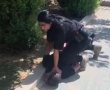 מעצר דרמטי בנגב: בלשית משטרה רדפה אחר חשוד לתוך בית ספר – ועצרה אותו