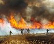 כפי ששיערנו: שריפת הענק שפרצה בהרי ירושלים "לא בגלל הצתה"