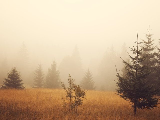 depositephoto אובך