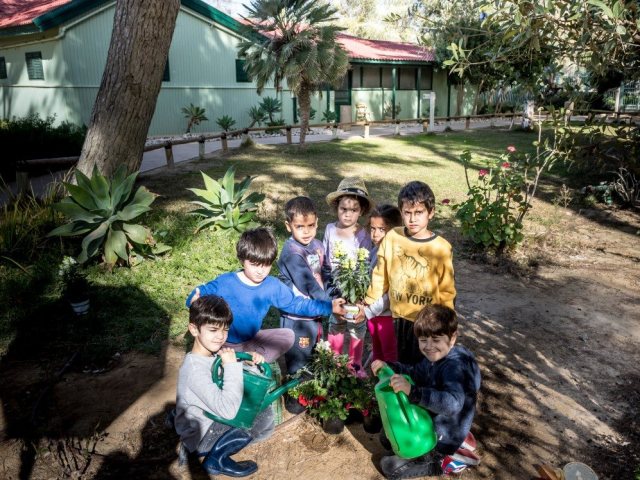 טו בשבט בצריף בן גוריון_קרדיט צילום צביקה שמעיה (Medium)