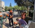 צילום: דוברות איחוד הצלה